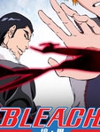 bleach 境·界 完现术篇